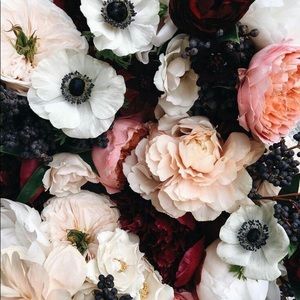 Meet your Posher, Anna